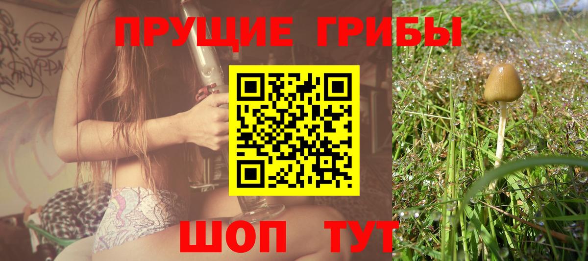 Псилоцибиновые грибы прущие грибы Советск